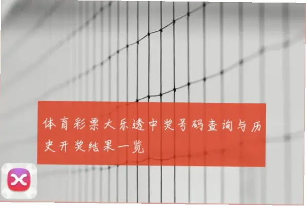 体彩开奖网官网如何快速查询历史开奖号码